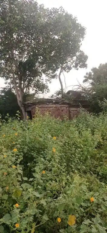 Arulmigu Yellaiamman Temple, Thenur - 621114