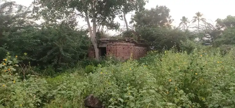 Arulmigu Yellaiamman Temple, Thenur - 621114 அருள்மிகு எல்லையம்மன் திருக்கோயில், Thenur - 621114, Perambalur - Ancient Temple Architecture and History Image 2