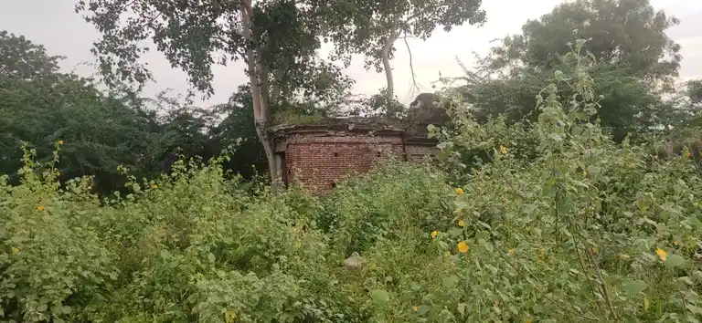 Arulmigu Yellaiamman Temple, Thenur - 621114 அருள்மிகு எல்லையம்மன் திருக்கோயில், Thenur - 621114, Perambalur - Ancient Temple Architecture and History Image 3