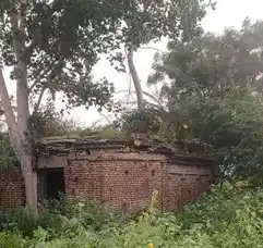 Arulmigu Yellaiamman Temple, Thenur - 621114 அருள்மிகு எல்லையம்மன் திருக்கோயில், Thenur - 621114, Perambalur - Ancient Temple Architecture and History Image 4