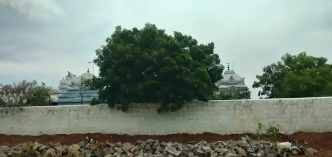 Arulmigu Yellaiyamman Temple, Kuppachipatti - 639120 அருள்மிகு எல்லையம்மன் திருக்கோயில், குப்பாச்சிப்பட்டி - 639120, Karur - Ancient Temple Architecture and History Image 2