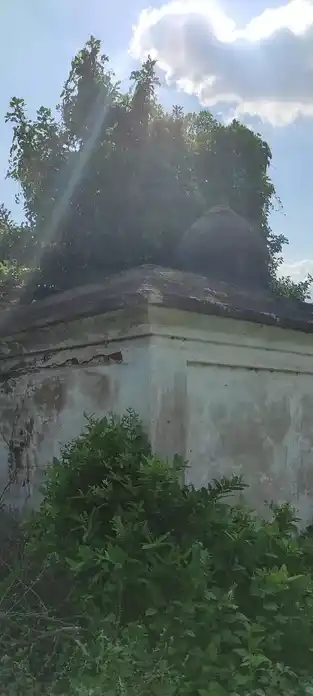 Arulmigu Yellaiyamman Temple, Sinnappaniyur - 639110 அருள்மிகு எல்லையம்மன் திருக்கோயில், சின்னப்பனையூர் - 639110, Karur - Ancient Temple Architecture and History Image 7