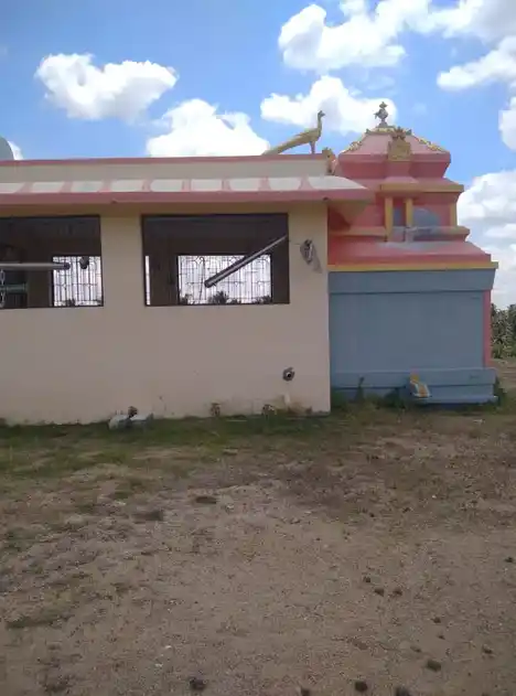 Arulmigu Yelur Subramanisamy Temple, Ekkatampalayam, Ekkatampalayam - 638051 அருள்மிகு ஏழுர் சுப்பிரமணியசுவாமி திருக்கோயில், எக்கட்டம்பாளையம், Ekkatampalayam - 638051, Erode - Ancient Temple Architecture and History Image 2