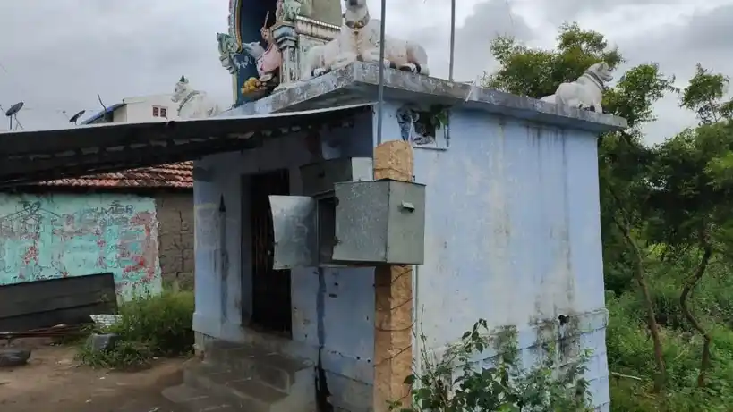 Arulmigu Yerikarai Vinayagar Temple, Pasumbalur - 621117 அருள்மிகு ஏரிக்கரைவிநாயகர் திருக்கோயில், Pasumbalur - 621117, Perambalur - Ancient Temple Architecture and History Image 2