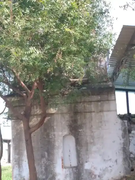 Arulmigu Yerkondrayaperumal Temple, Viruthasampatti, Kuttapatty - 636453