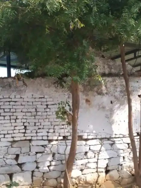 Arulmigu Yerkondrayaperumal Temple, Viruthasampatti, Kuttapatty - 636453 அருள்மிகு ஏர்க் கொண்டராயப்பெருமாள் திருக்கோயில், Viruthasampatti, Kuttapatty - 636453, Salem - Ancient Temple Architecture and History Image 3