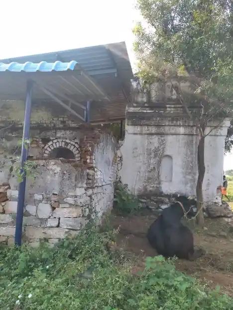 Arulmigu Yerkondrayaperumal Temple, Viruthasampatti, Kuttapatty - 636453 அருள்மிகு ஏர்க் கொண்டராயப்பெருமாள் திருக்கோயில், Viruthasampatti, Kuttapatty - 636453, Salem - Ancient Temple Architecture and History Image 6