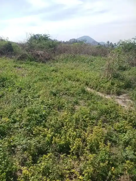 Nandhavanam, Anukkoor, Anukkur - 621219 Temple