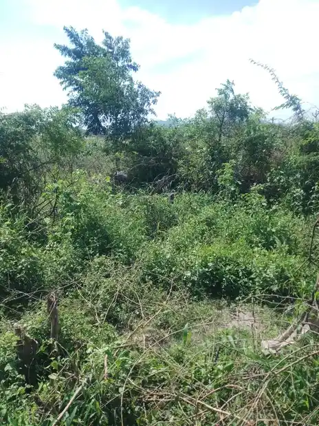 Nandhavanam, Anukkoor, Anukkur - 621219 Nandhavanam, Anukkoor, Anukkur - 621219, Perambalur - Ancient Temple Architecture and History Image 4